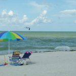 article image -